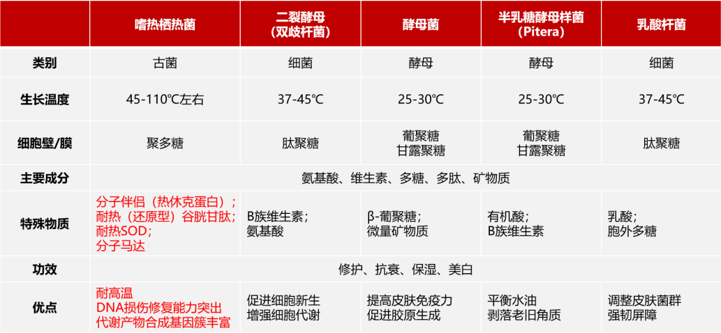 嗜热栖热菌发酵产物